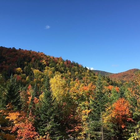 Loft Nature Laurentides Val-des-Lacs エクステリア 写真