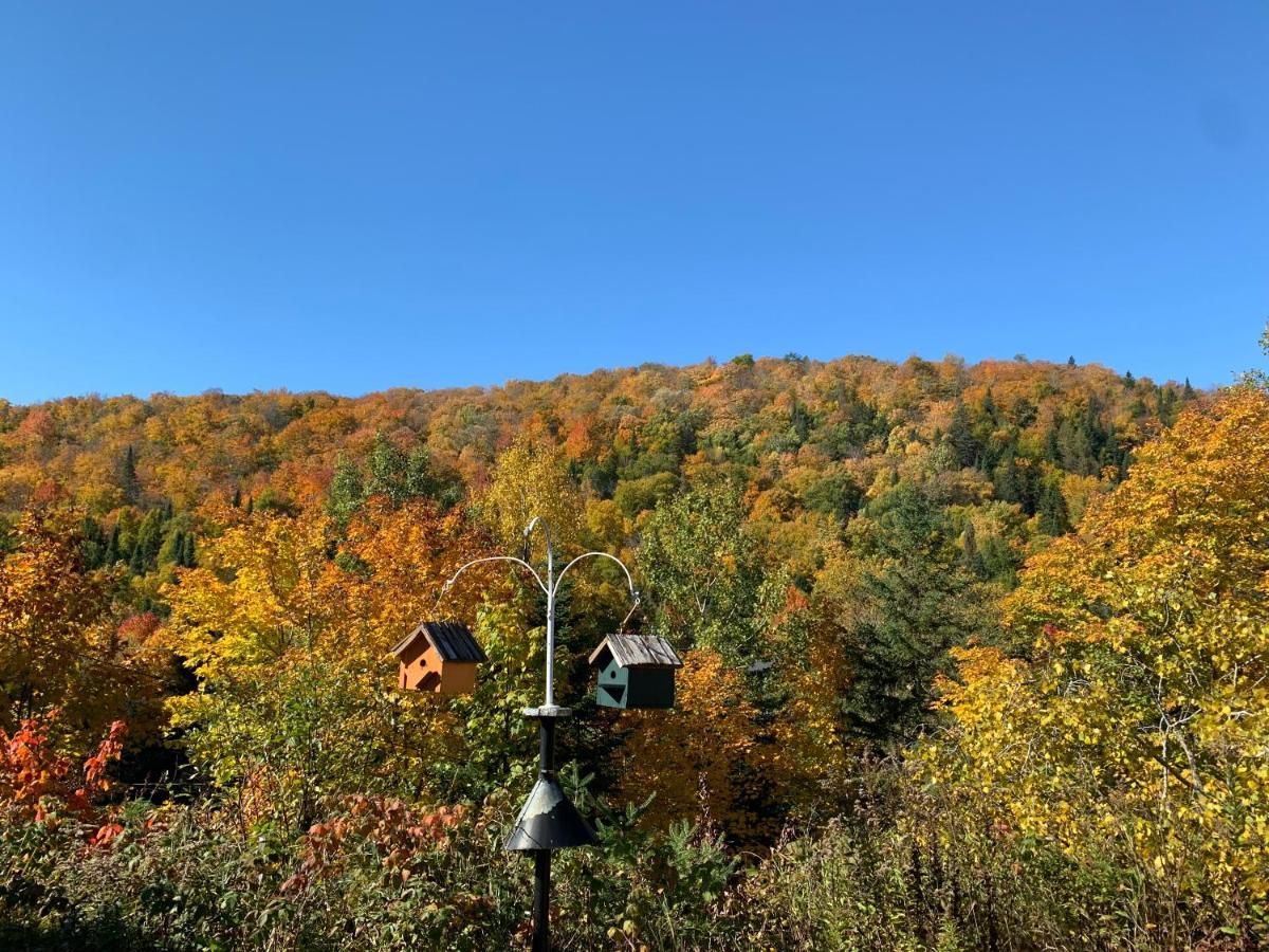 Loft Nature Laurentides Val-des-Lacs エクステリア 写真