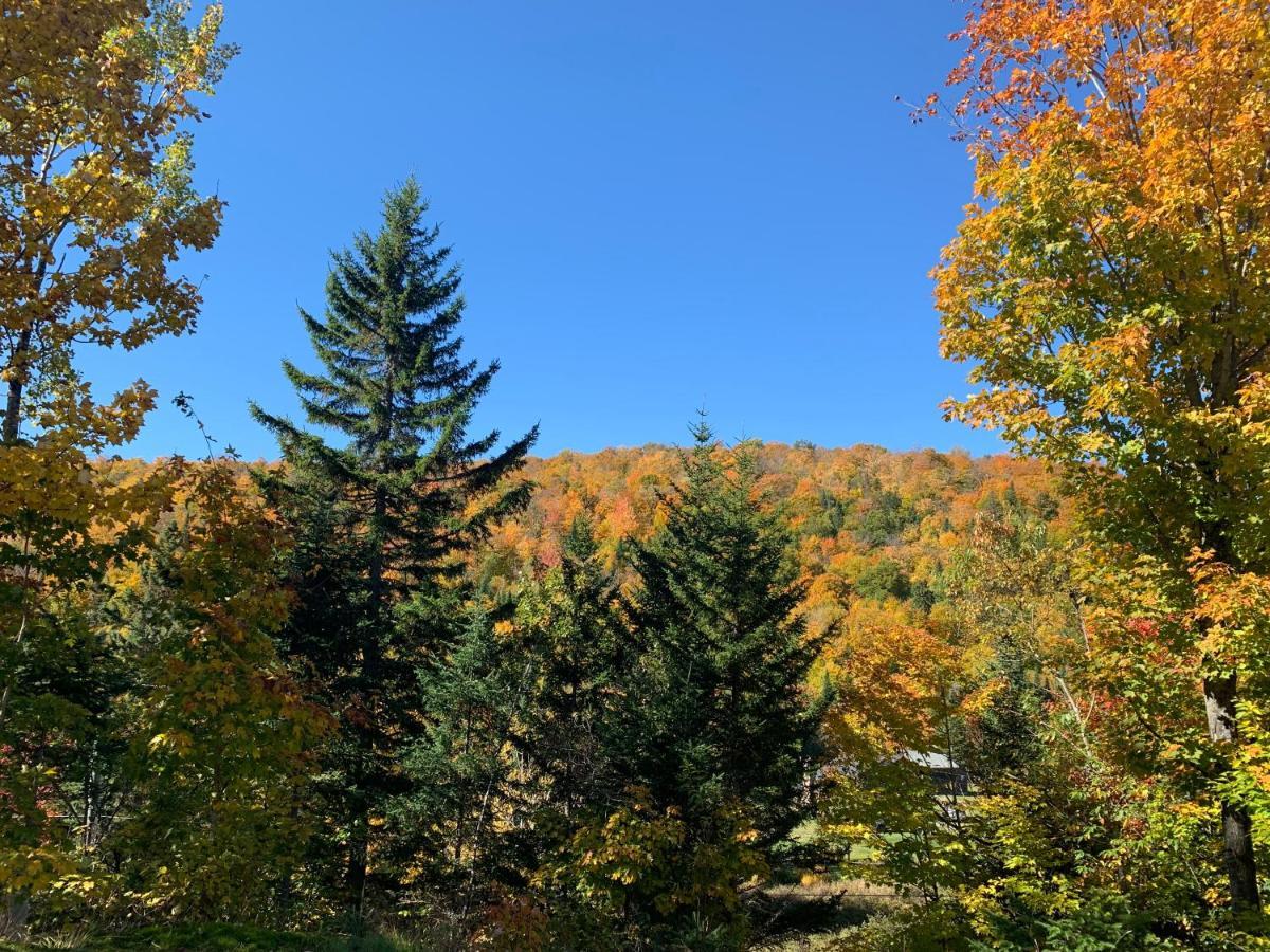 Loft Nature Laurentides Val-des-Lacs エクステリア 写真