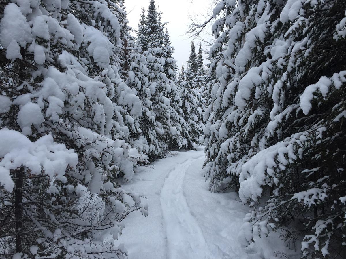 Loft Nature Laurentides Val-des-Lacs エクステリア 写真