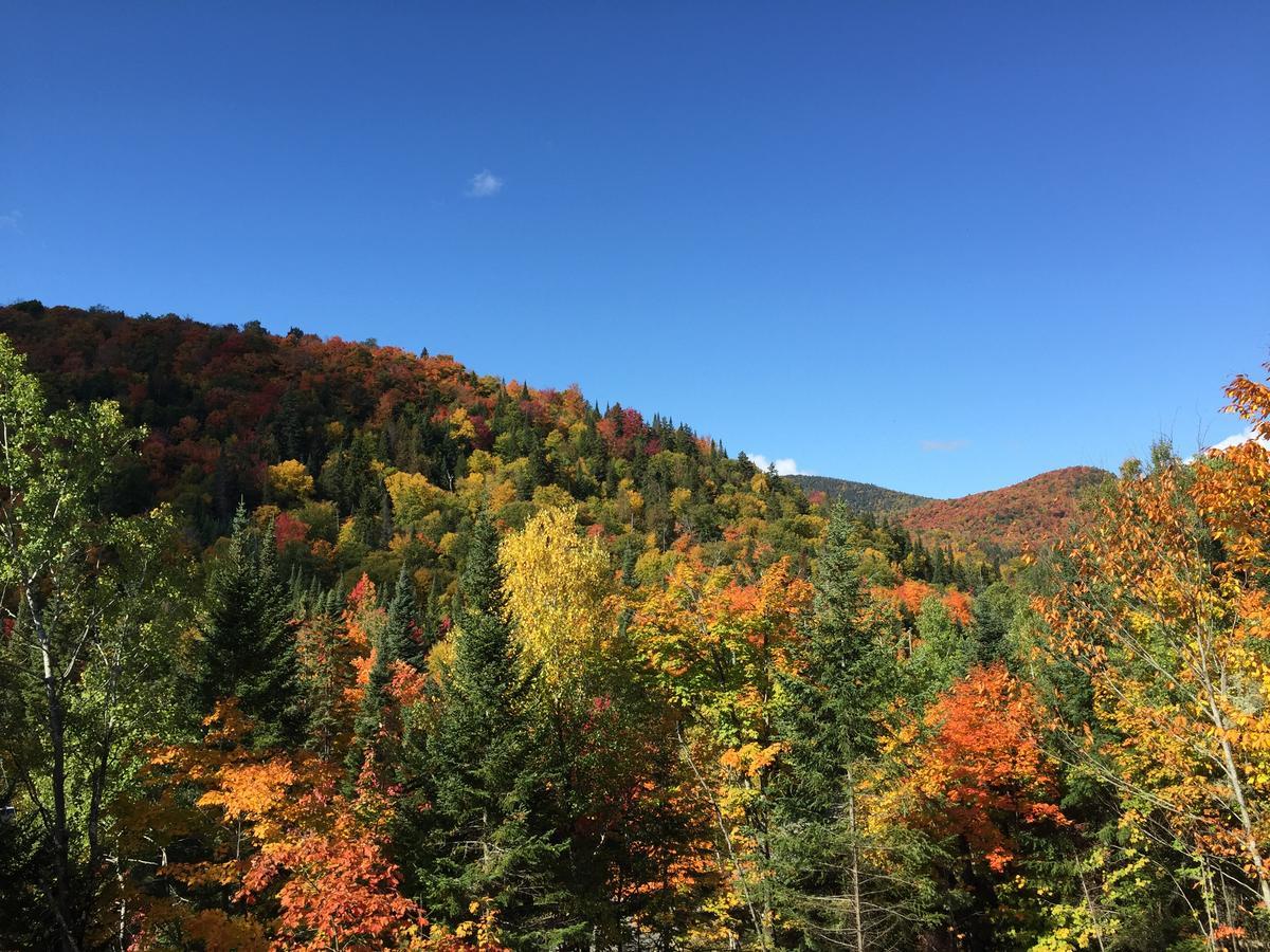 Loft Nature Laurentides Val-des-Lacs エクステリア 写真