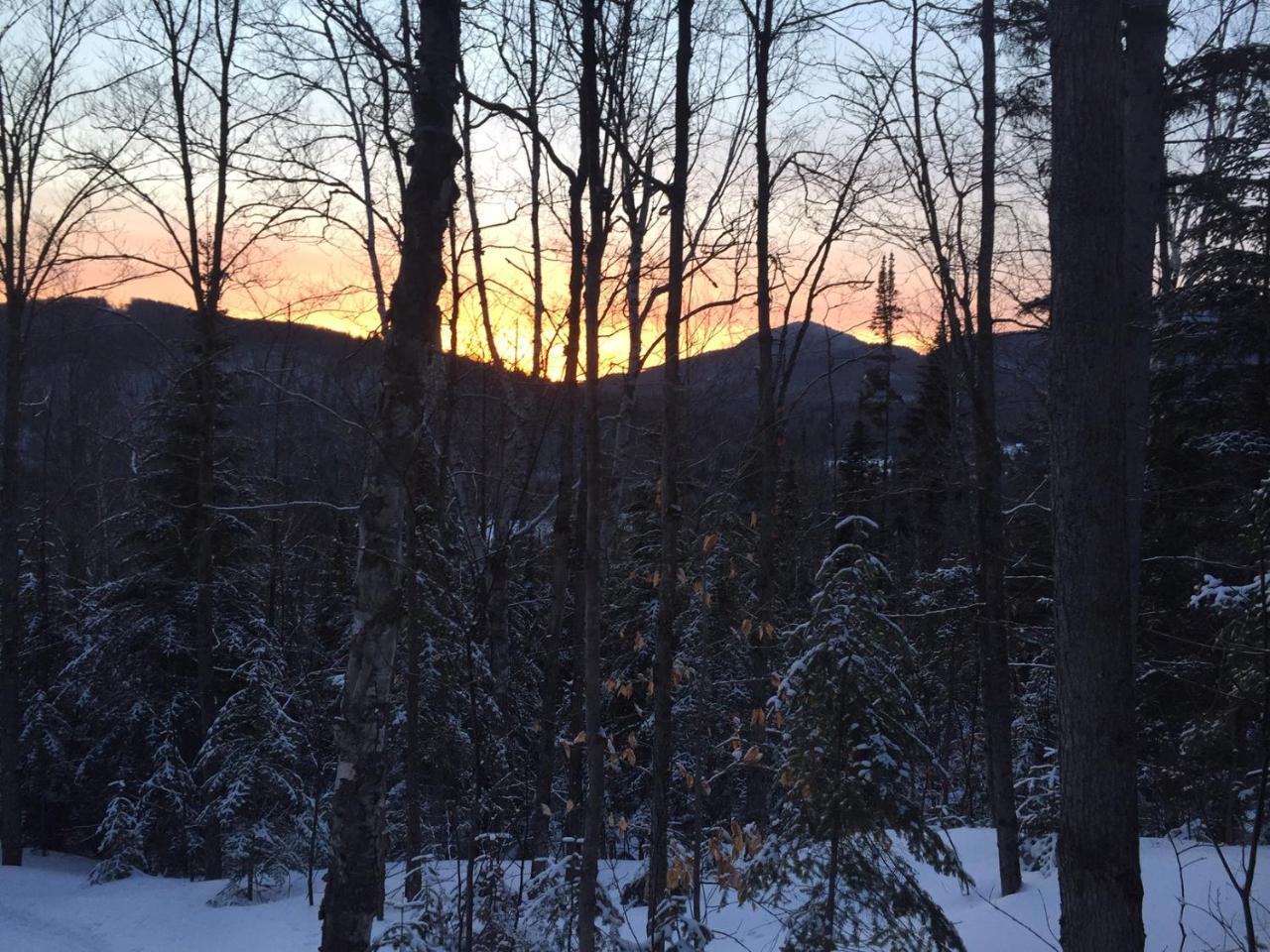 Loft Nature Laurentides Val-des-Lacs エクステリア 写真